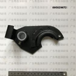 000029672